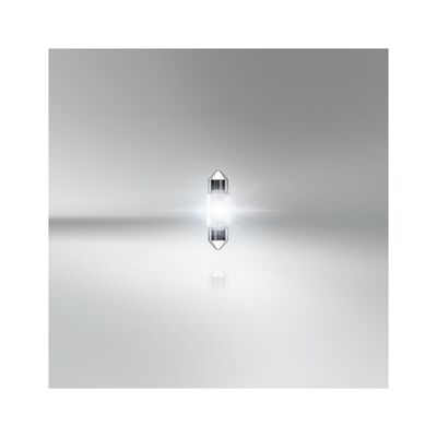 LAMPE 24V-10W S8.5 LENGTH 41MM